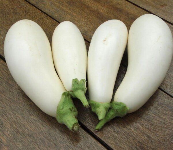 Обзор лучших сортов белых баклажанов – удивительные плоды на грядке