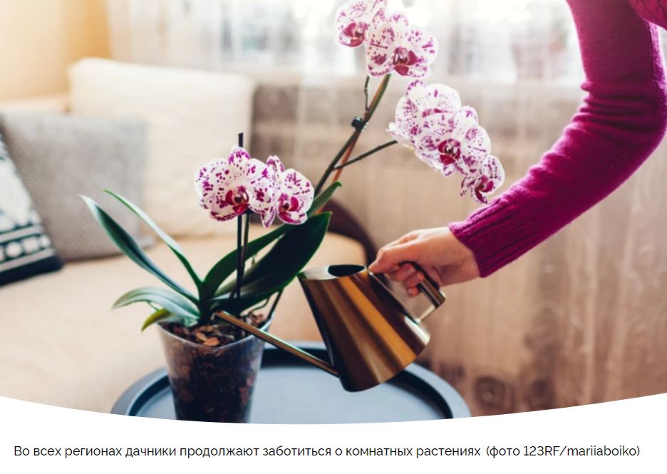 ������ ��������� ��� ���������: ��� ����� ����� � 13 �� 19 �������