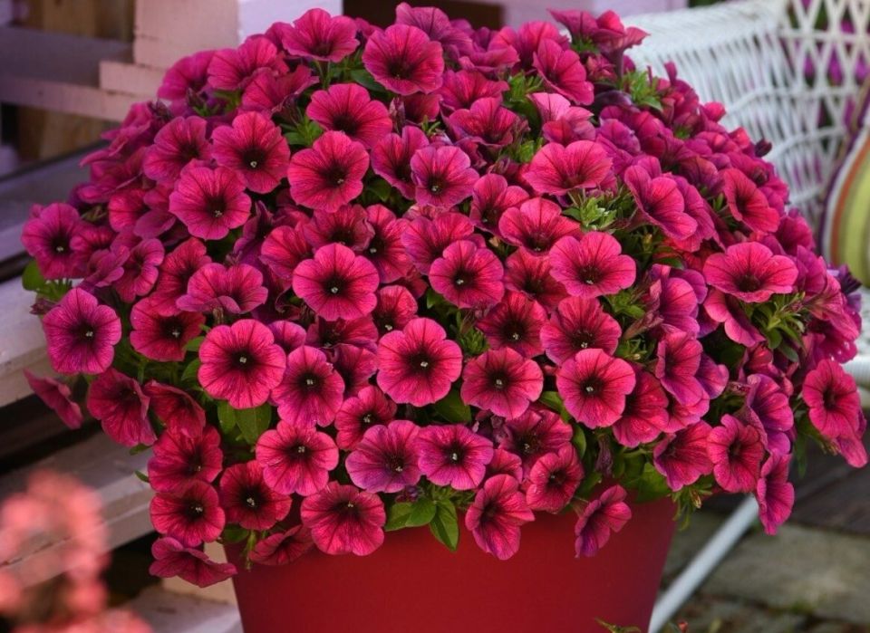 ��������: ������� ���� � ��������� ������ �� ������ �������