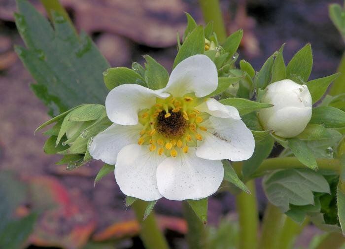 ��� �������� ��������: ������������ ����� ��� ���������